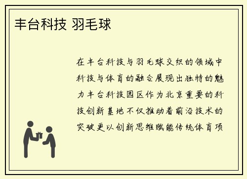 丰台科技 羽毛球