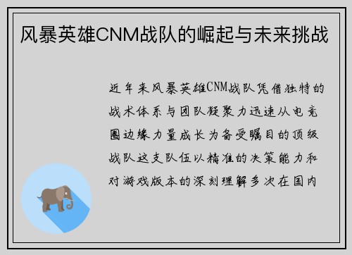 风暴英雄CNM战队的崛起与未来挑战